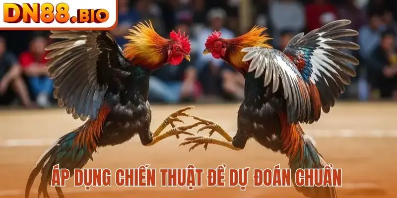 Áp dụng chiến thuật để dự đoán chuẩn