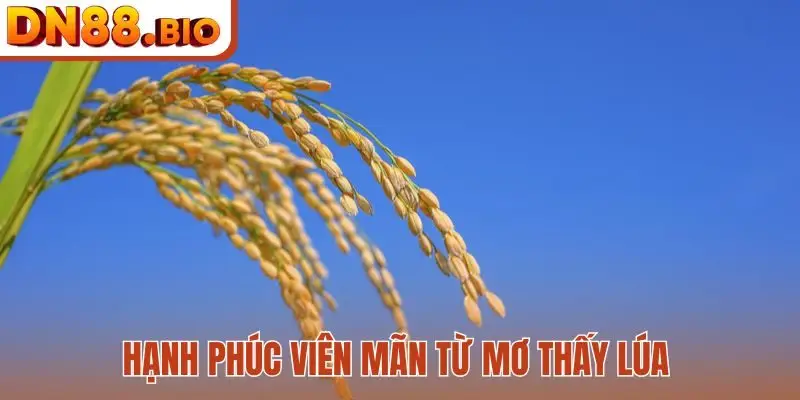 Hạnh phúc viên mãn từ mơ thấy lúa