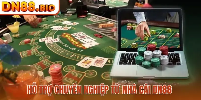 Hỗ trợ chuyên nghiệp từ nhà cái DN88