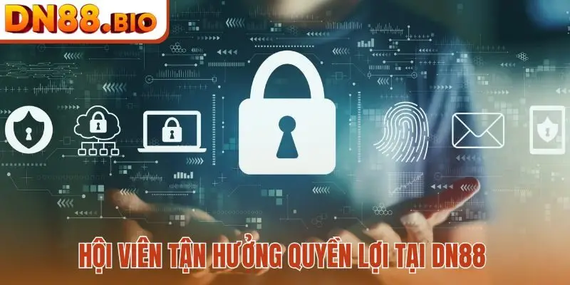 Hội viên tận hưởng quyền lợi tại DN88