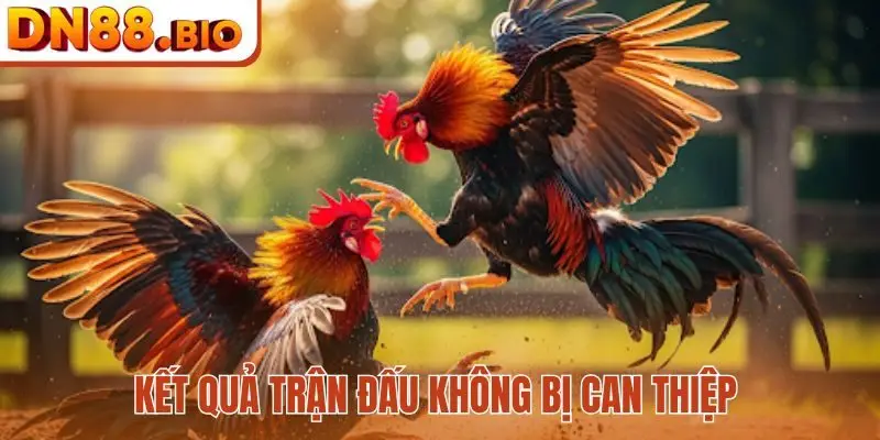 Kết quả trận đấu không bị can thiệp