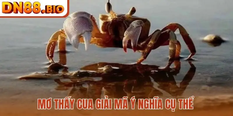 Mơ thấy cua giải mã ý nghĩa cụ thể