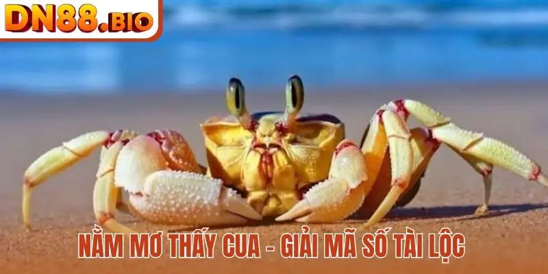 Nằm mơ thấy cua