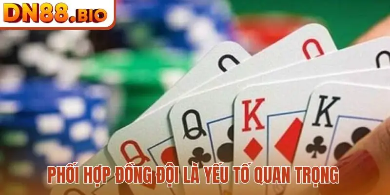 Phối hợp đồng đội là yếu tố quan trọng