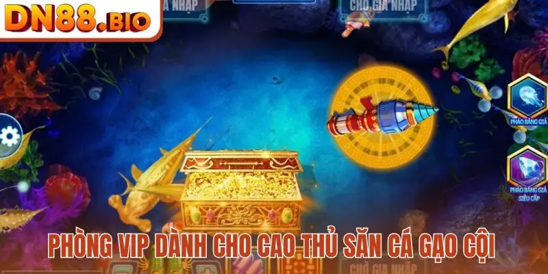 Phòng VIP dành cho cao thủ săn cá gạo cội
