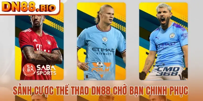 Sảnh cược thể thao DN88 chờ bạn chinh phục