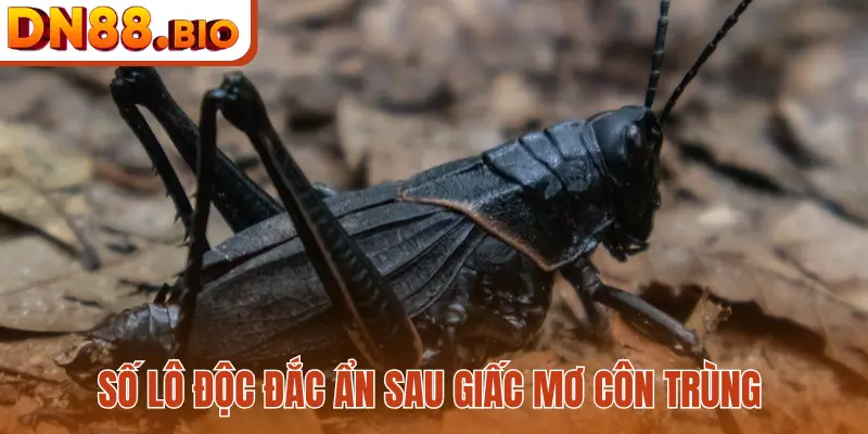 Số lô độc đắc ẩn sau giấc mơ côn trùng