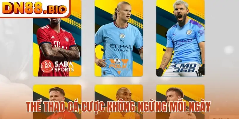 Thể thao cá cược không ngừng mỗi ngày