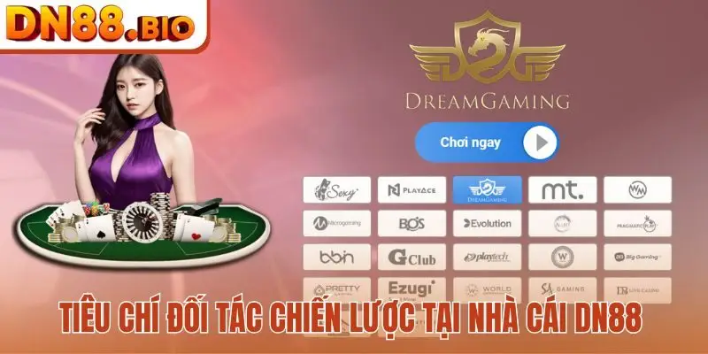 Tiêu chí đối tác chiến lược tại nhà cái DN88