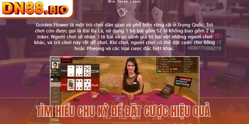 Tìm hiểu chu kỳ để đặt cược hiệu quả