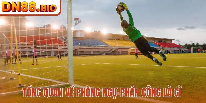 Tổng quan về Phòng ngự phản công là gì