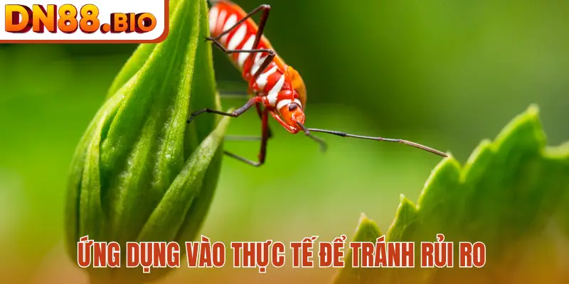 Ứng dụng vào thực tế để tránh rủi ro