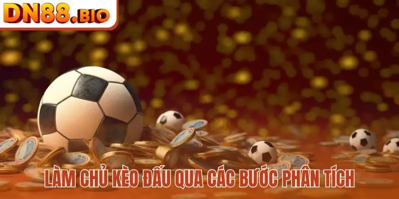 Làm chủ kèo đấu qua các bước phân tích